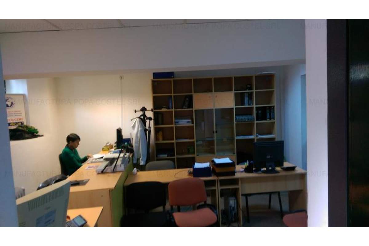 Carol- spatiu demisol ideal birou/comercial/locuit, stradal, reclama