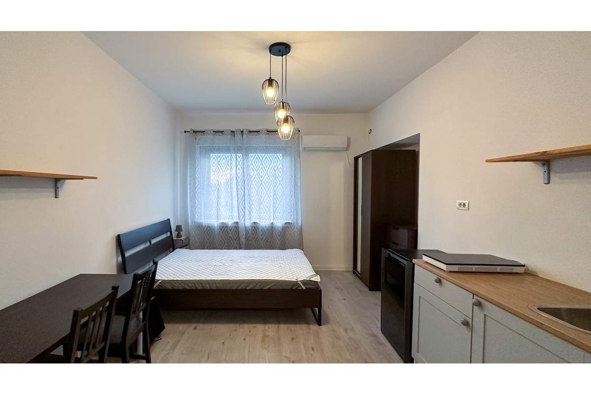 Dacia-Eminescu-Pizza Hut Mosilor bloc tip vila gars. mob.contract Anaf 350 Euro