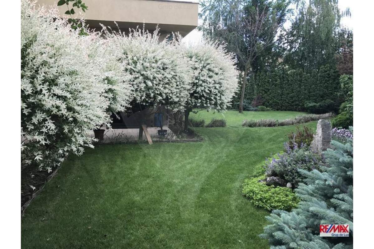  De inchiriat vila cu piscina si gradina amenajata in Buna Ziua