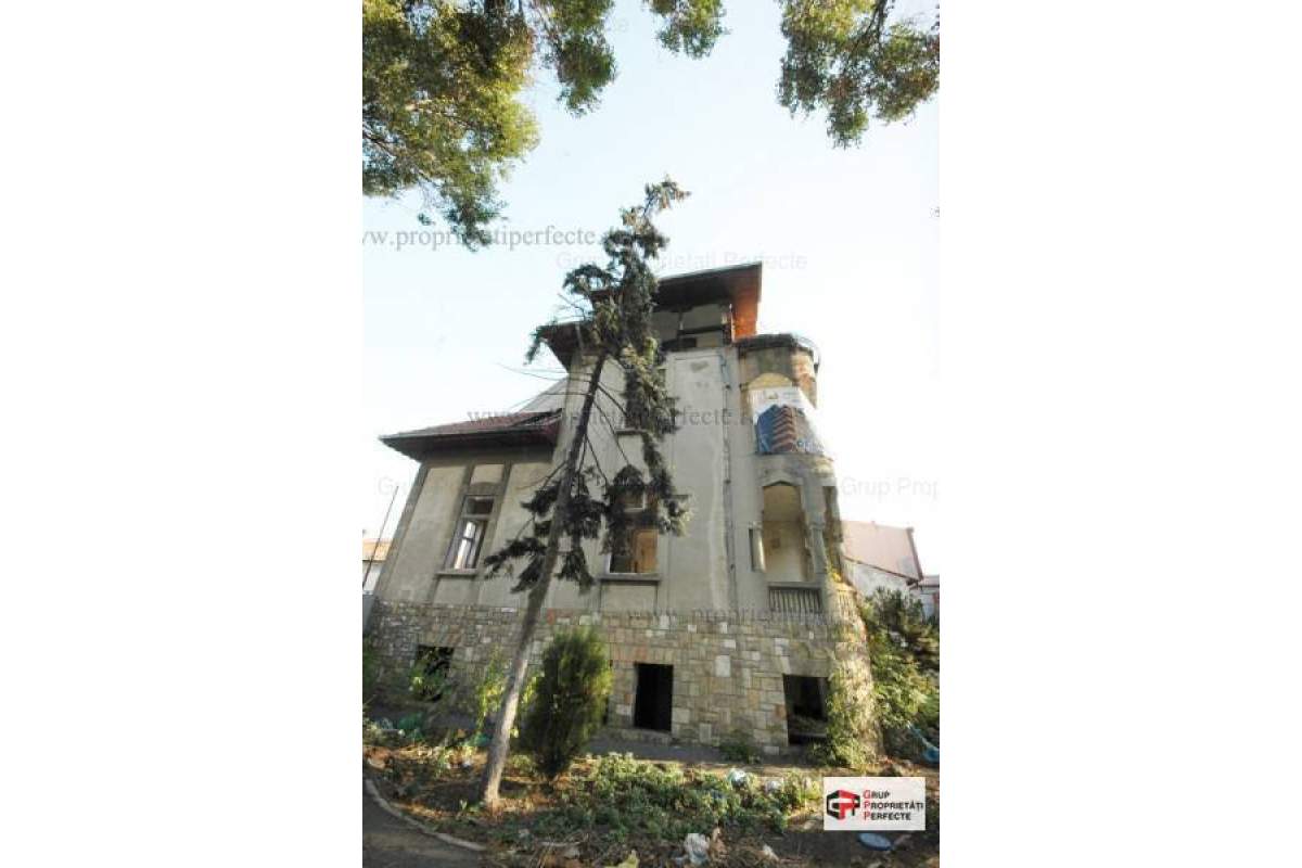 Ferdinand - Consulatul turc, vila stil brancovenesc D+P+2E - ideal consulat