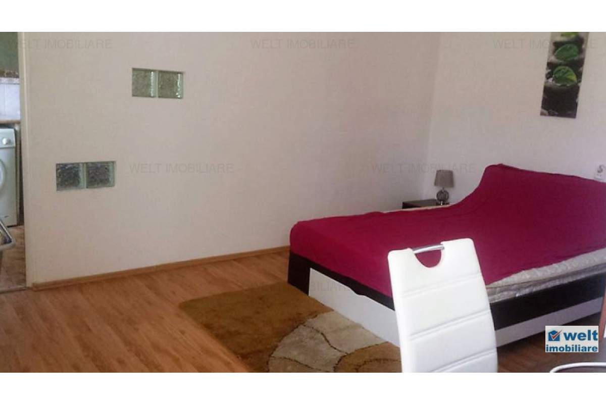  Inchiriere apartament cu 1 camera, curte, in centrul orasului, zona P. Muzeului