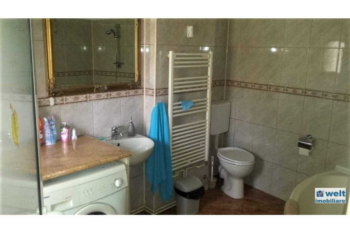  Inchiriere apartament cu 1 camera, curte, in centrul orasului, zona P. Muzeului