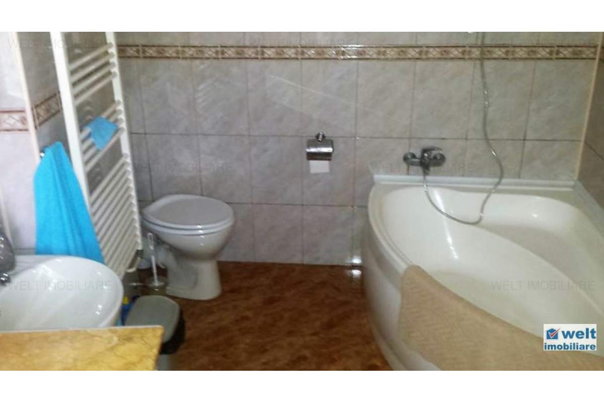  Inchiriere apartament cu 1 camera, curte, in centrul orasului, zona P. Muzeului