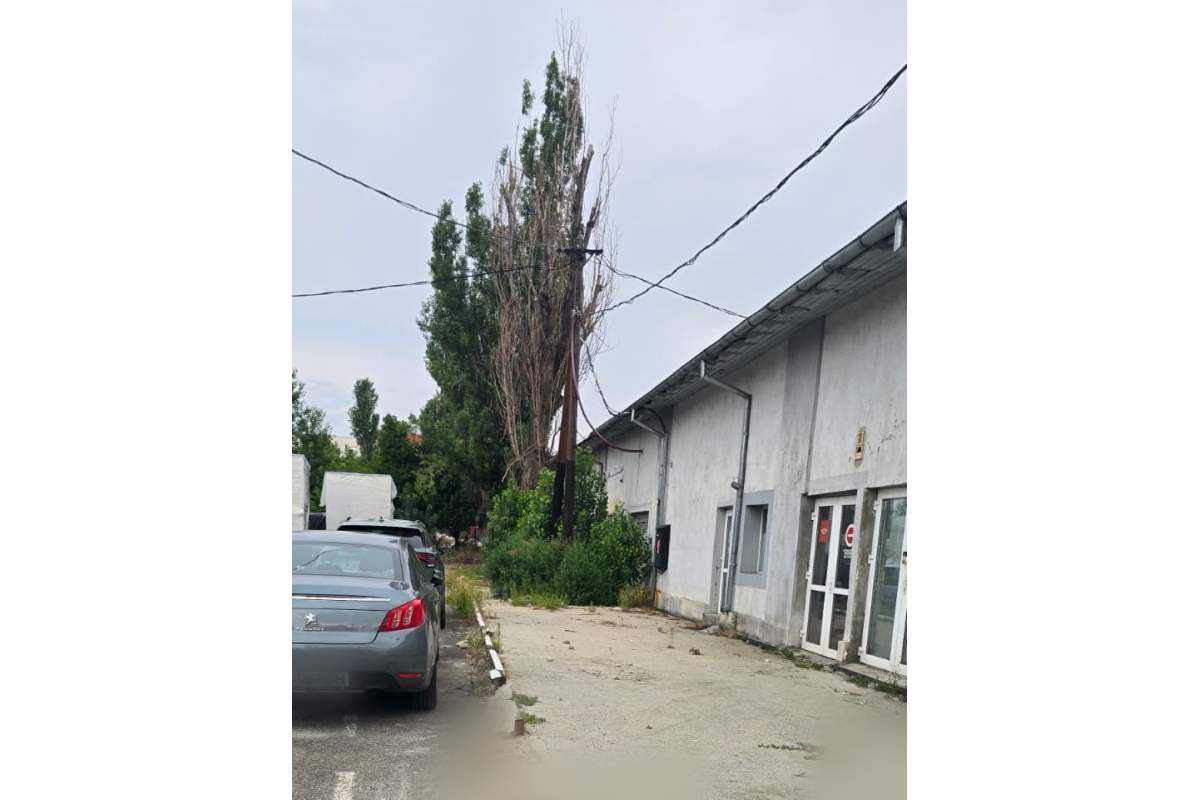 Intreg sau partial :370 MP la PARTER,langa metrou BASARAB,10EUR MP.FARA COMISION!