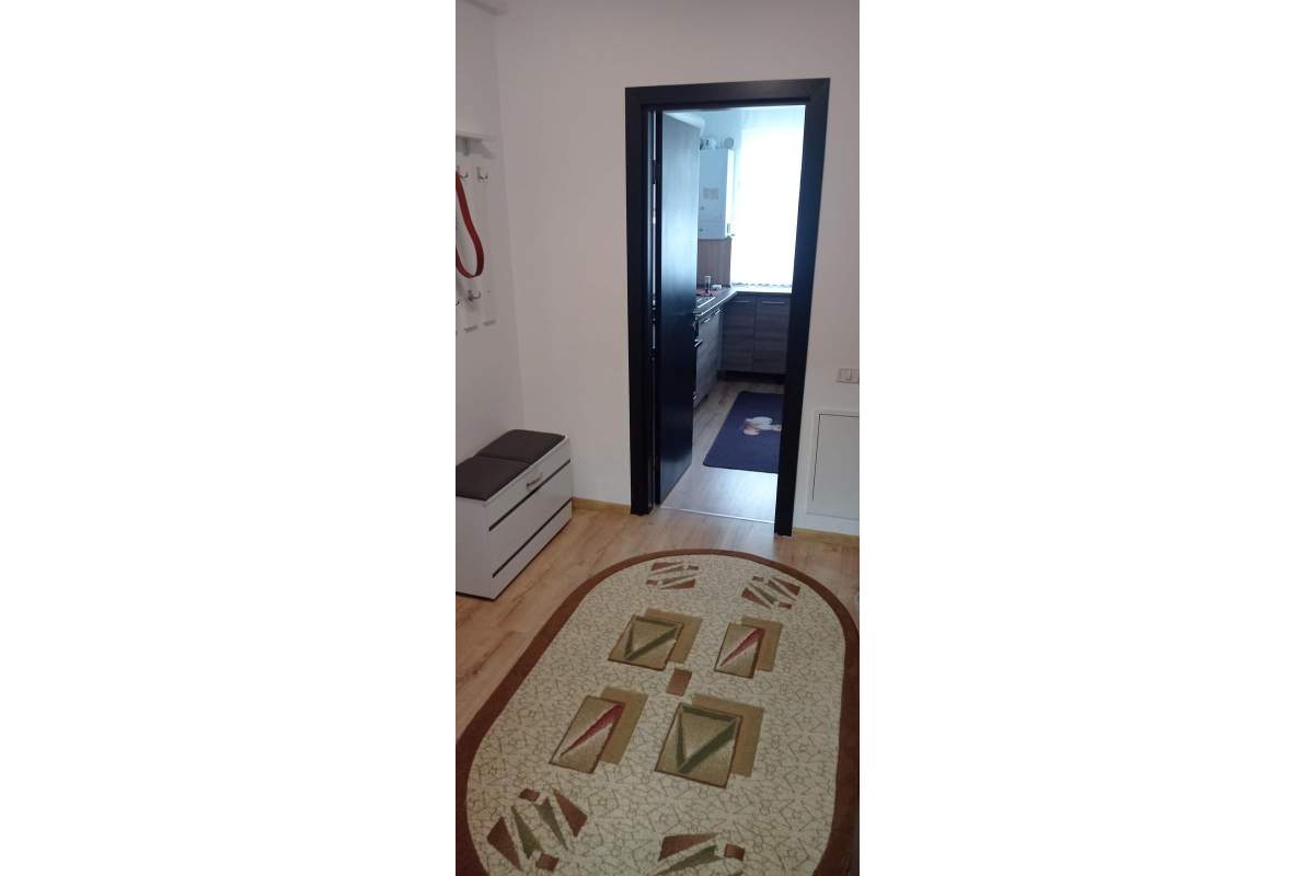 Ofert spre inchiriere apartament pet friendly Subcetate