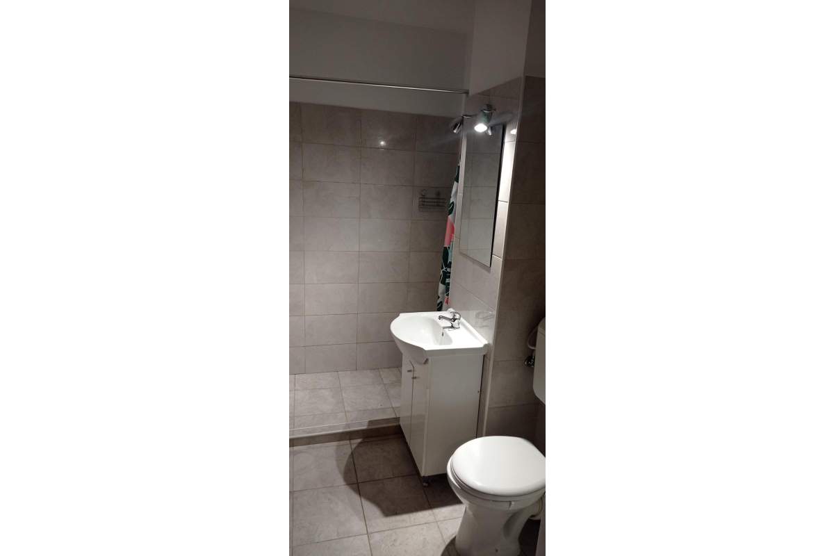 Ofert spre inchiriere apartament pet friendly Subcetate