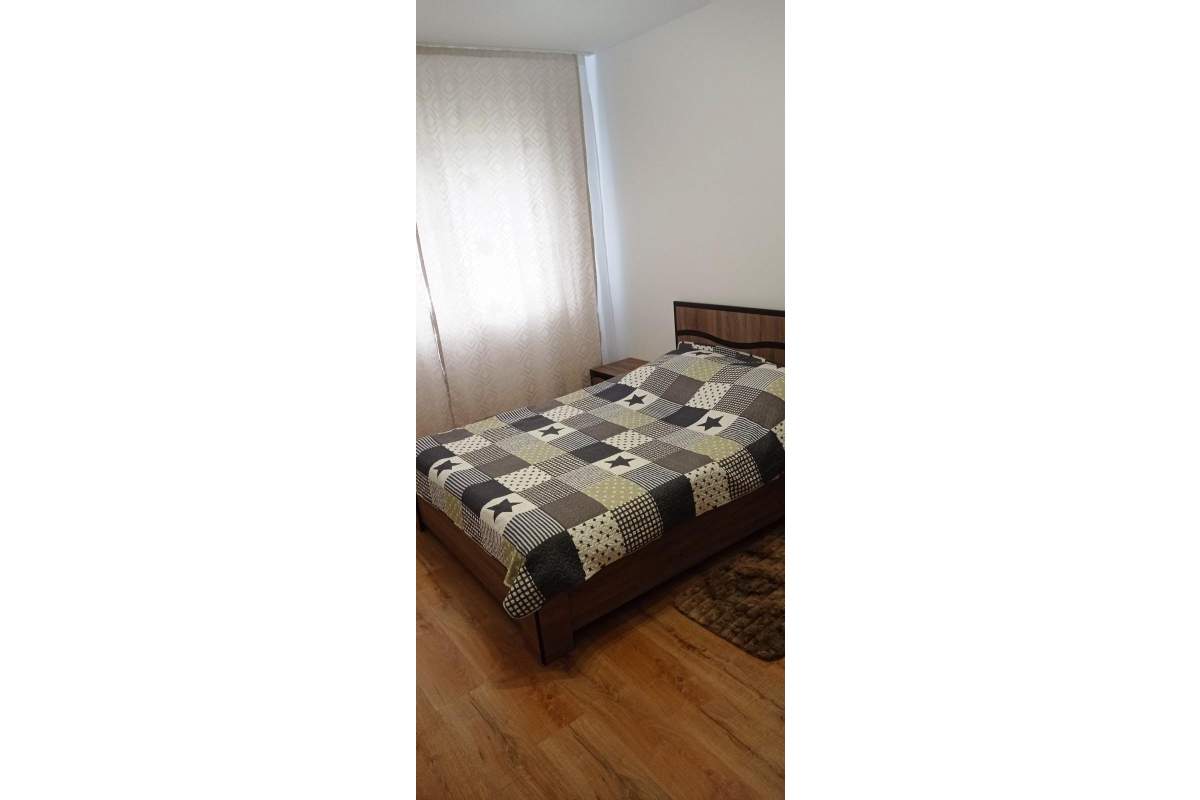 Ofert spre inchiriere apartament pet friendly Subcetate