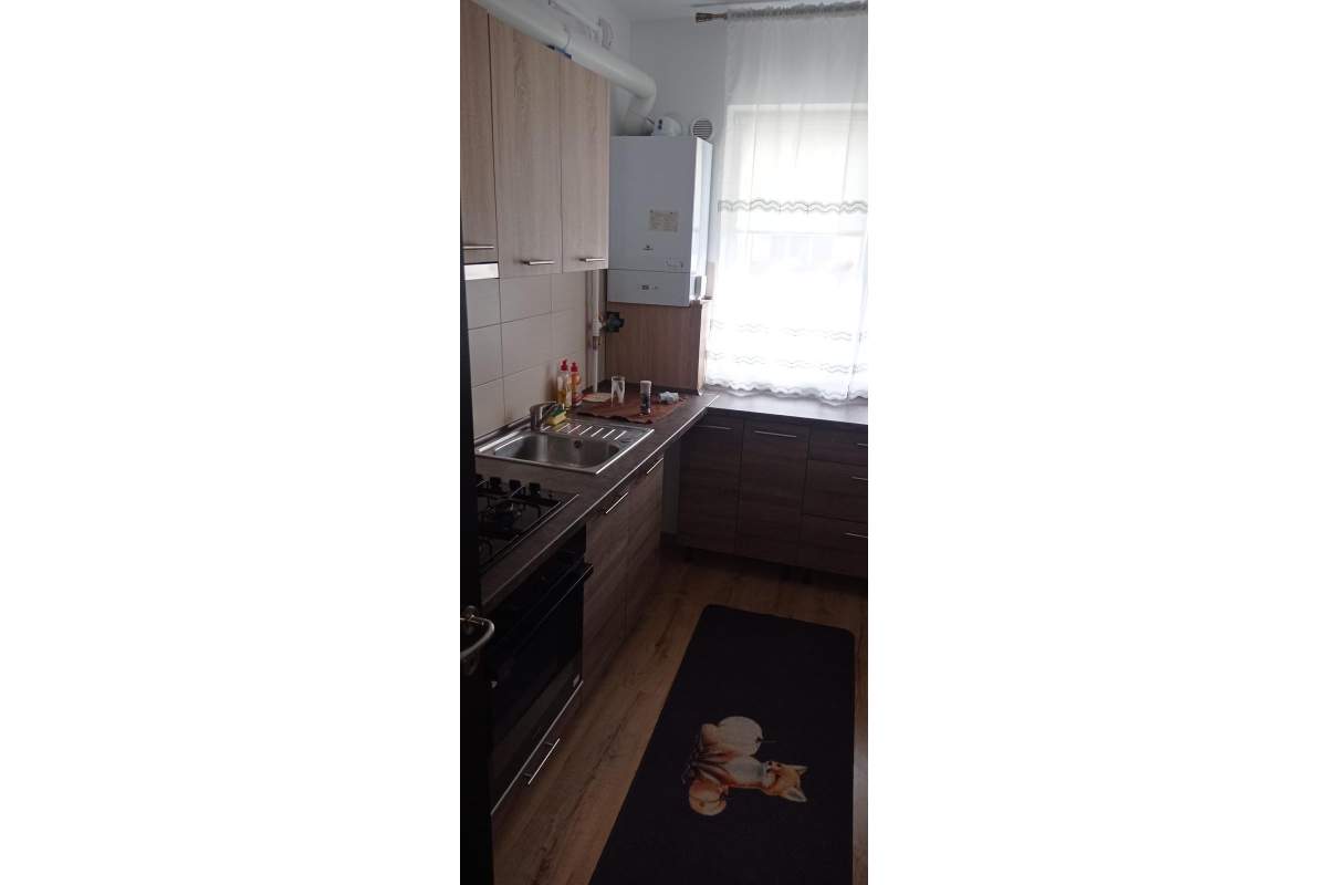 Ofert spre inchiriere apartament pet friendly Subcetate