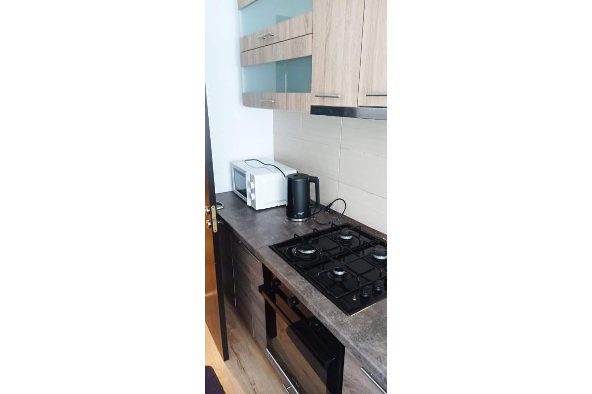 Ofert spre inchiriere apartament pet friendly Subcetate