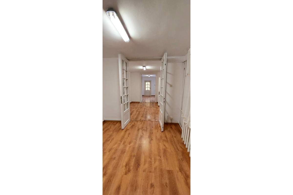 Vila P+1 pretabil birouri/firma zona Stefan Cel Mare-Eminescu