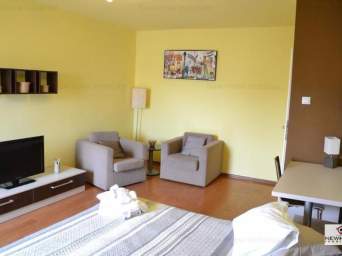  Apartament 1 camera Marasti