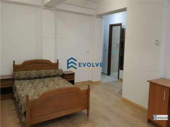 Apartament 1 camera Tatarasi