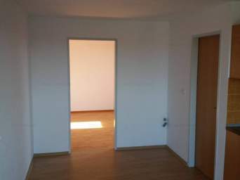  Apartament cu 2 camere nedecomandat NOU in zona Balcescu