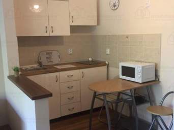  Apartament o camera, bloc nou, Plopilor